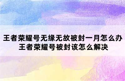 王者荣耀号无缘无故被封一月怎么办 王者荣耀号被封该怎么解决